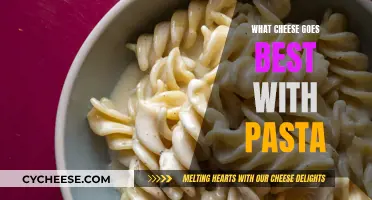 The Perfect Pasta: Cheesy Combinations for Your Taste Buds