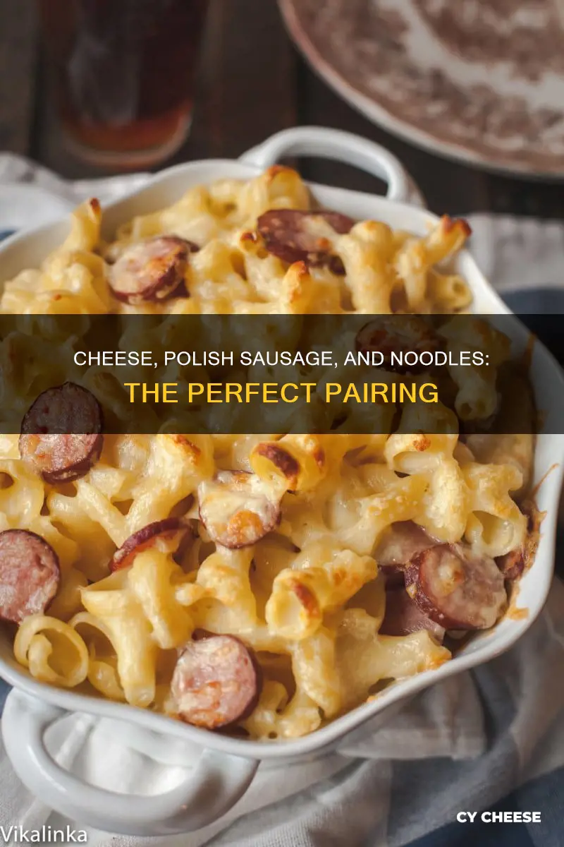 what cheese goes best with pilish sausage abd noodles