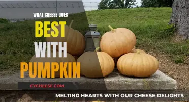 Pumpkin's Perfect Cheese Partners: A Seasonal Foodie Guide