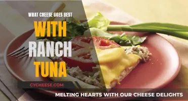 Cheese and Ranch Tuna: The Perfect Pairing