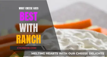 Cheese and Ranch: Perfect Pairing for a Zesty Kick