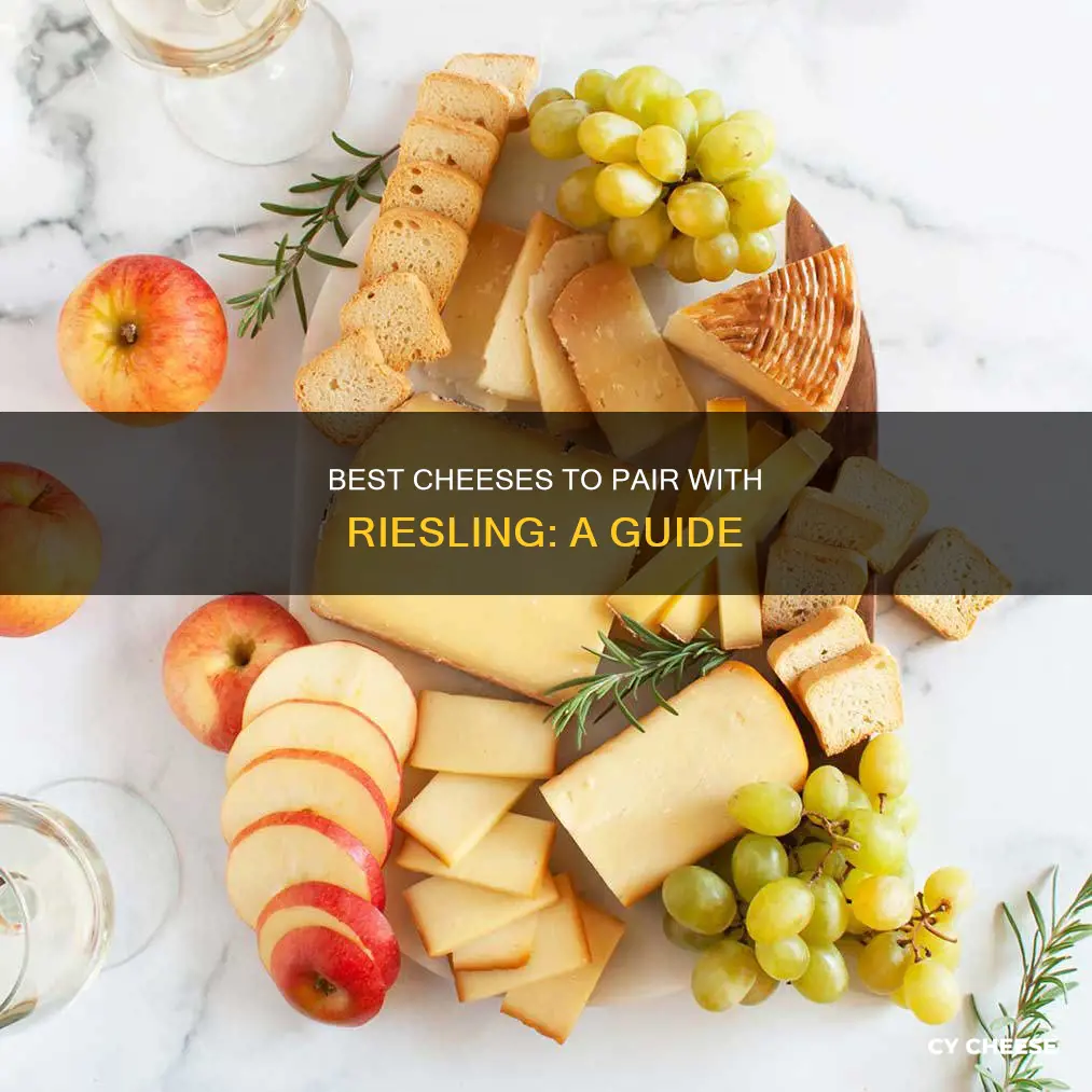 what cheese goes best with riesling