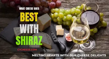 Shiraz and Cheese: The Perfect Pairing for Your Palate