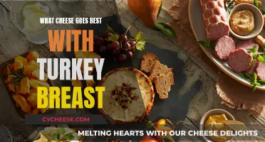 Turkey Breast: Best Cheese Pairing Options