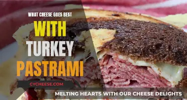 Best Cheeses to Compliment Turkey Pastrami