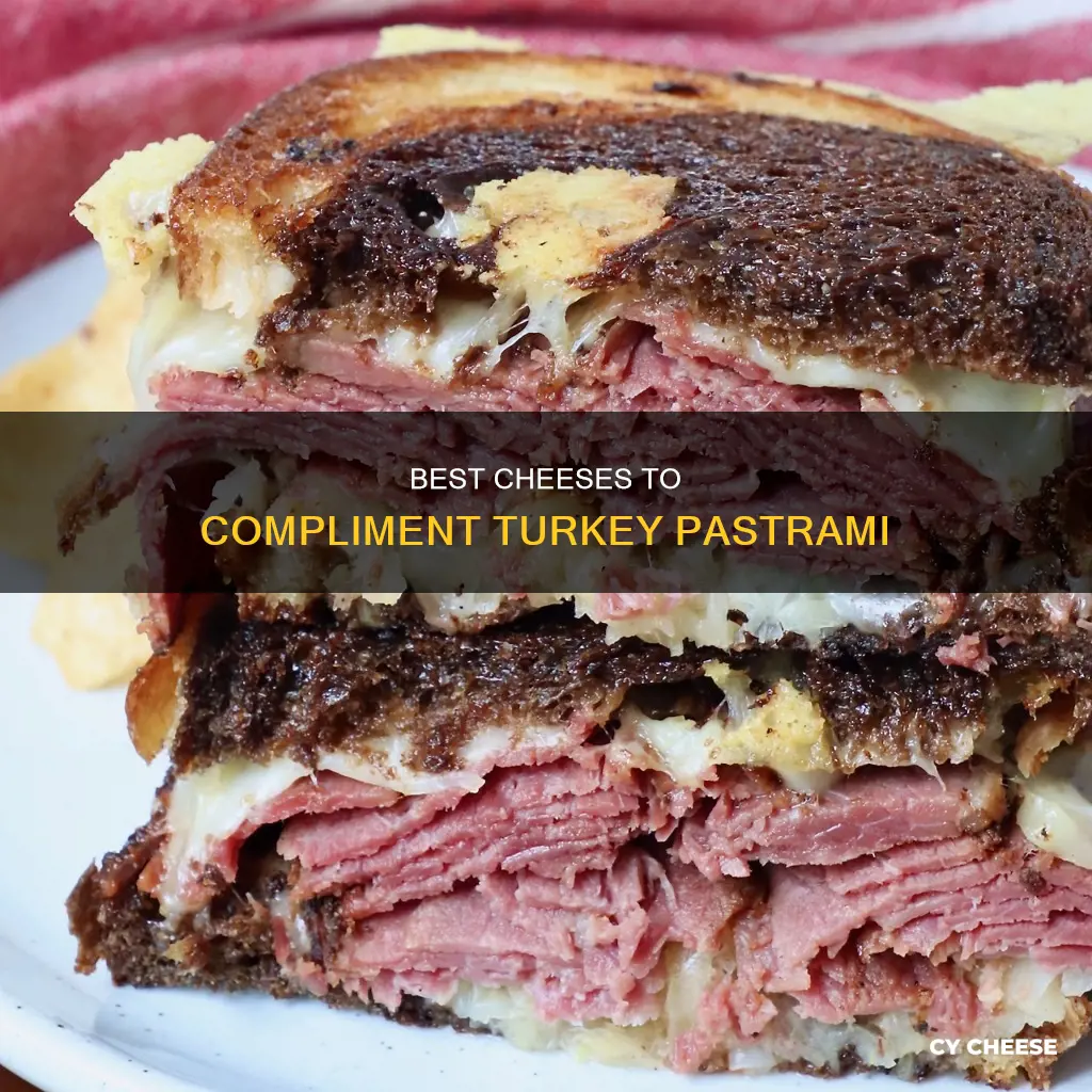 what cheese goes best with turkey pastrami