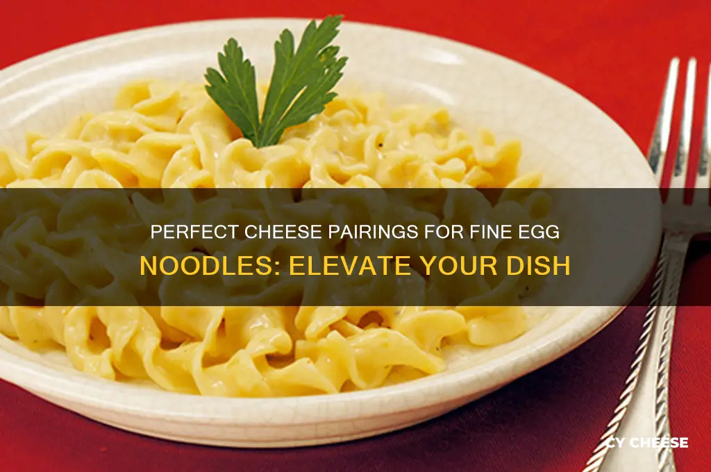 what cheese goes good on fine egg noodels