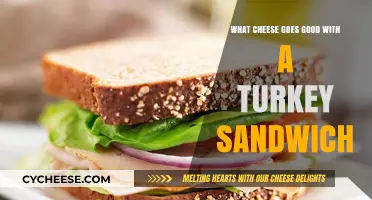 Perfect Pairings: Best Cheeses to Elevate Your Turkey Sandwich Game