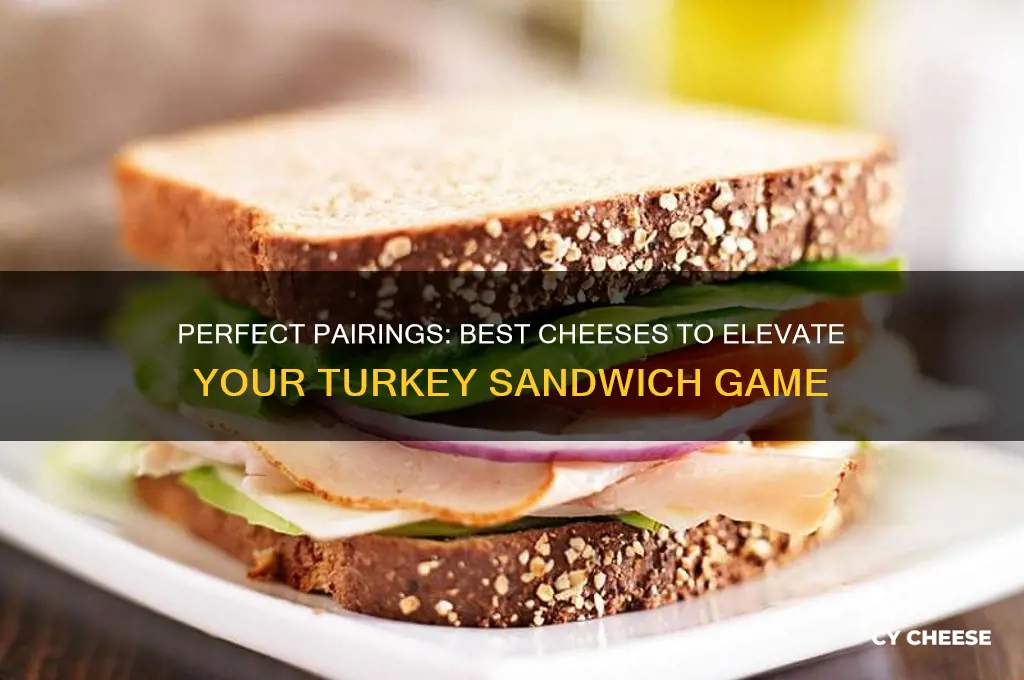 what cheese goes good with a turkey sandwich