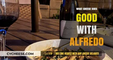 Perfect Pairings: Best Cheeses to Elevate Your Alfredo Sauce