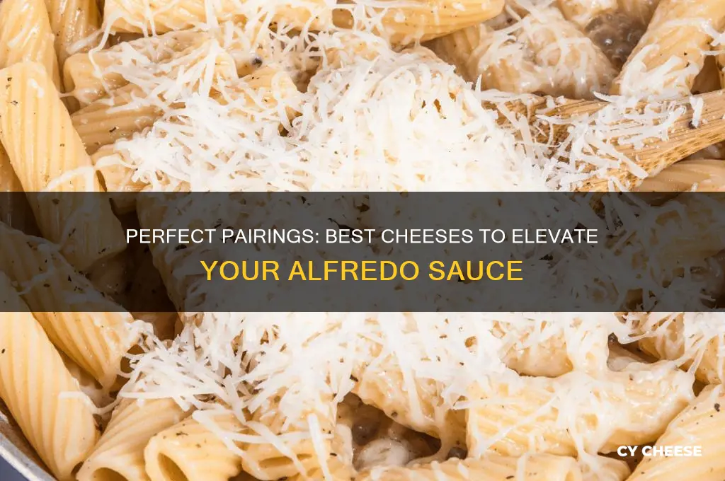 what cheese goes good with alfredo