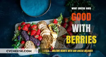 Sweet and Savory Pairings: Best Cheeses to Complement Fresh Berries