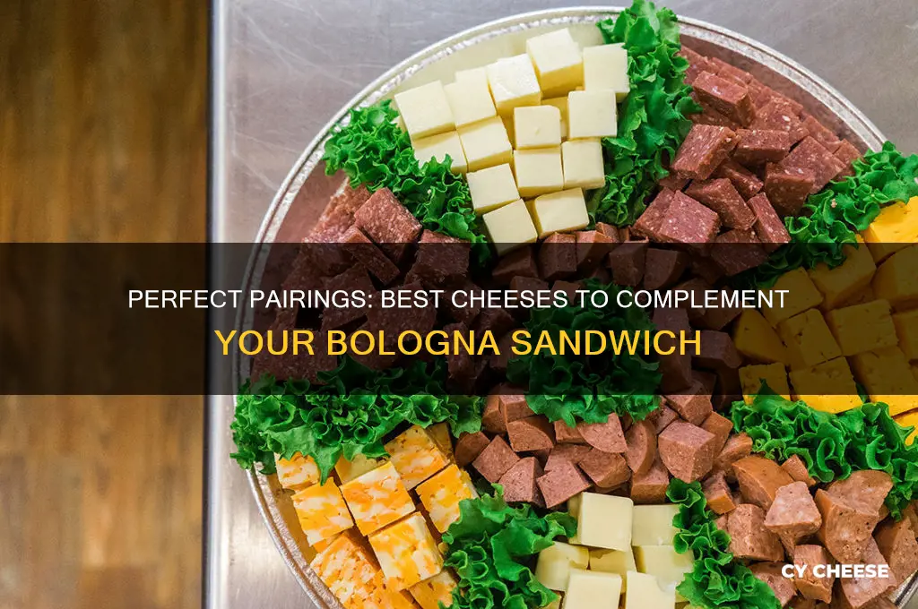 what cheese goes good with bologna