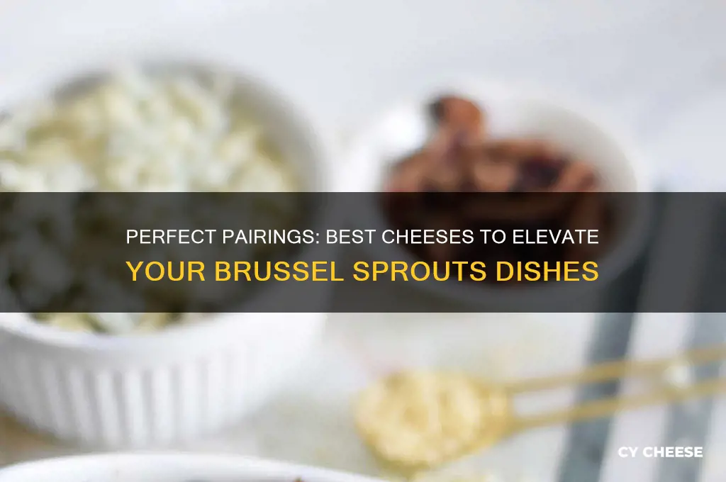 what cheese goes good with brussel sprouts