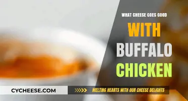 Best Cheeses to Pair with Buffalo Chicken for Ultimate Flavor