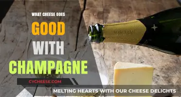 Perfect Pairings: Best Cheeses to Complement Your Champagne Celebration