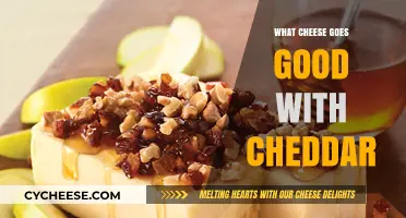 Perfect Pairings: Best Cheeses to Complement Classic Cheddar's Flavor