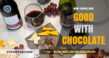Sweet and Savory Pairings: Best Cheeses to Complement Chocolate Delights