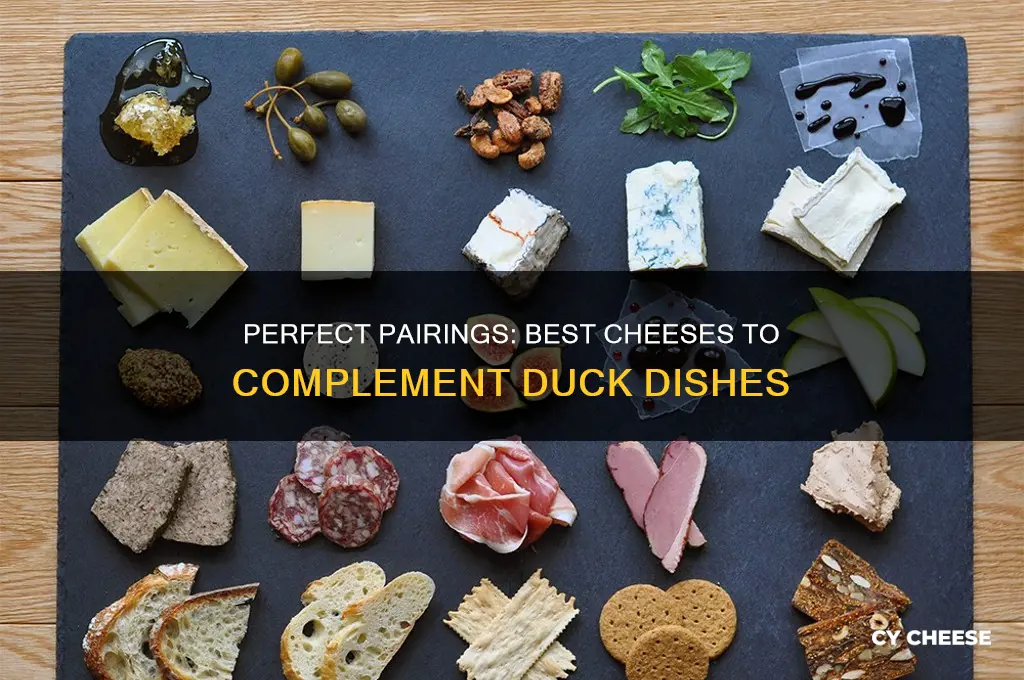 what cheese goes good with duck