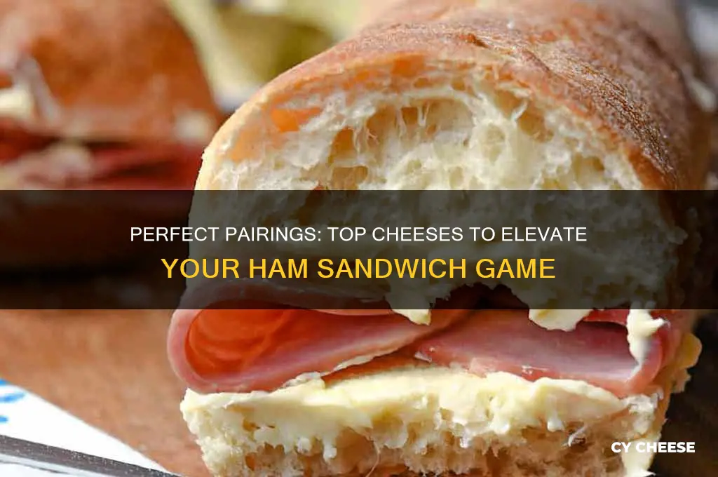 what cheese goes good with ham sandwich