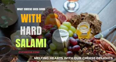 Perfect Pairings: Best Cheeses to Complement Hard Salami's Bold Flavor