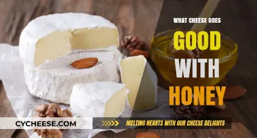 Sweet & Savory Pairings: Best Cheeses to Enjoy with Honey