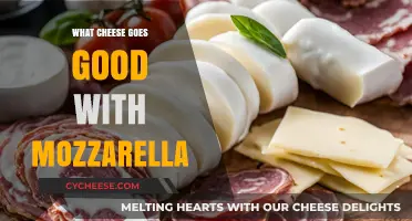 Perfect Pairings: Best Cheeses to Complement Mozzarella in Dishes