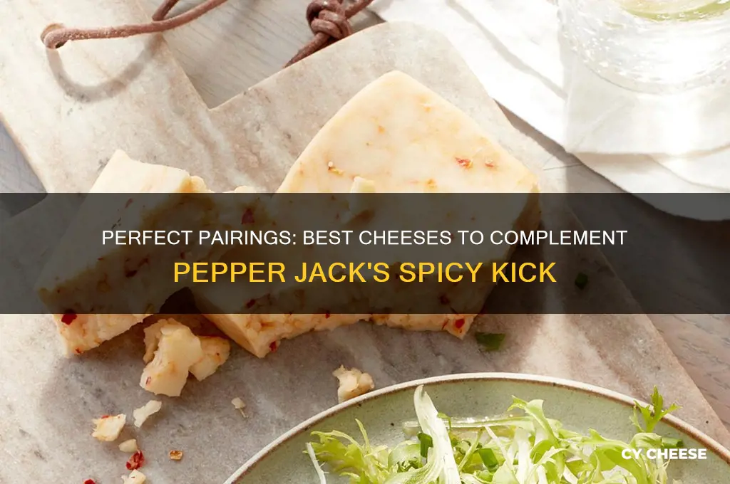 what cheese goes good with pepper jack