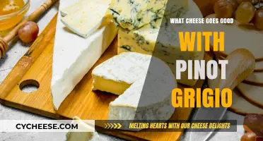 Perfect Pairings: Best Cheeses to Complement Your Pinot Grigio