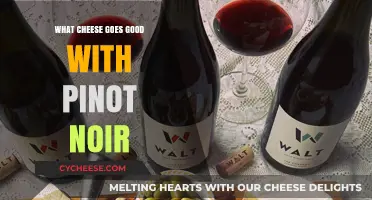 Perfect Pairings: Best Cheeses to Complement Your Pinot Noir Wine