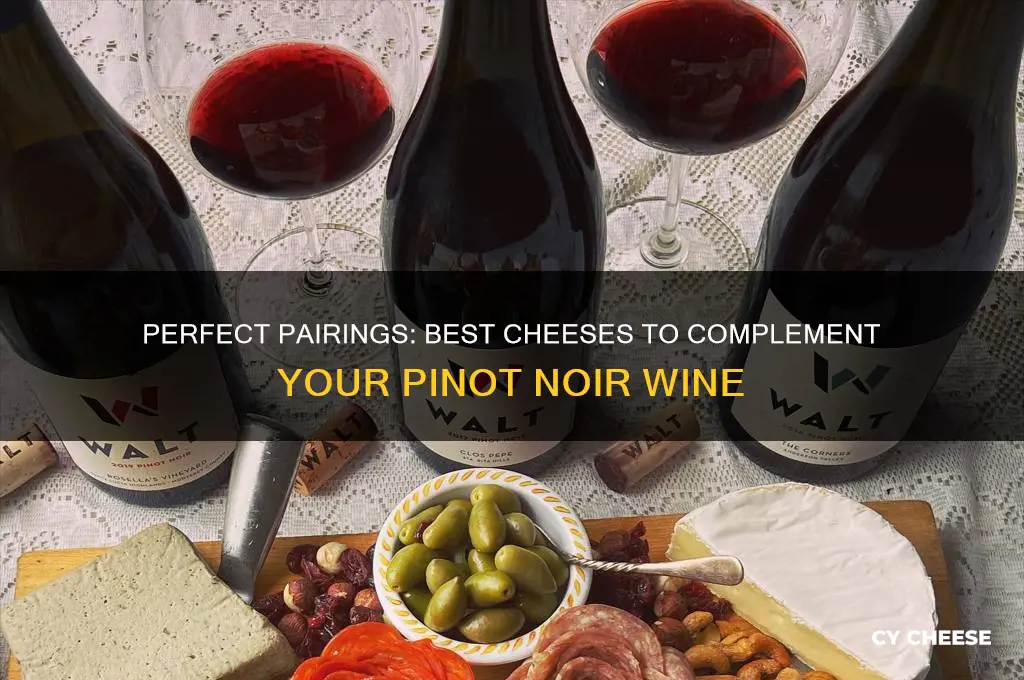 what cheese goes good with pinot noir