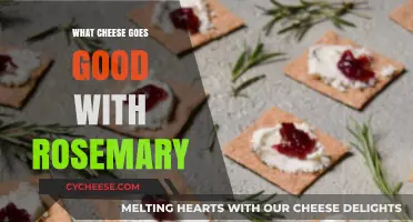 Rosemary's Perfect Pair: Cheeses That Complement Its Aromatic Flavor