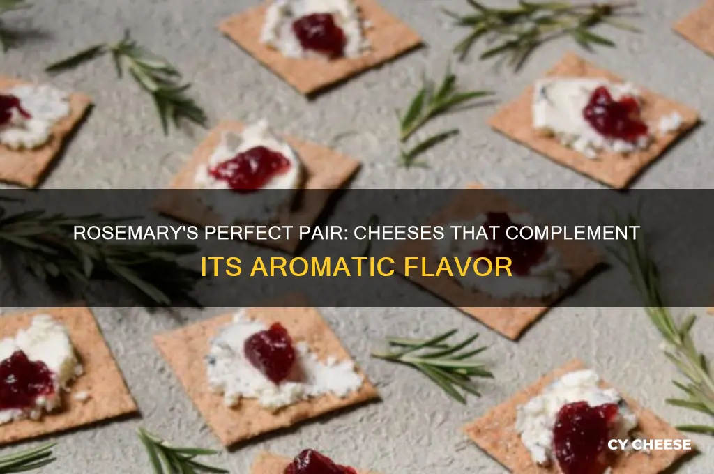 what cheese goes good with rosemary