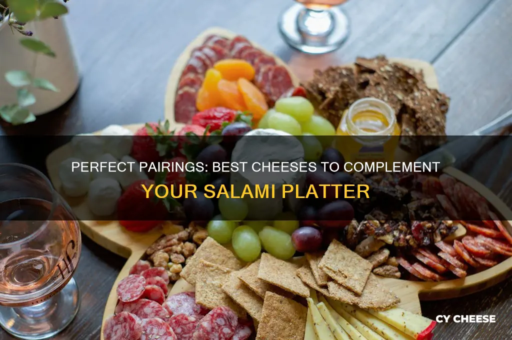 what cheese goes good with salami