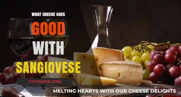 Perfect Pairings: Best Cheeses to Complement Sangiovese Wine