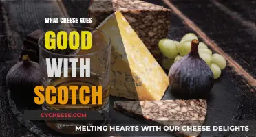 Perfect Pairings: Best Cheeses to Complement Your Scotch Whisky Experience