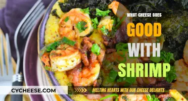 Shrimp and Cheese Pairings: Best Cheeses to Elevate Your Seafood Dish