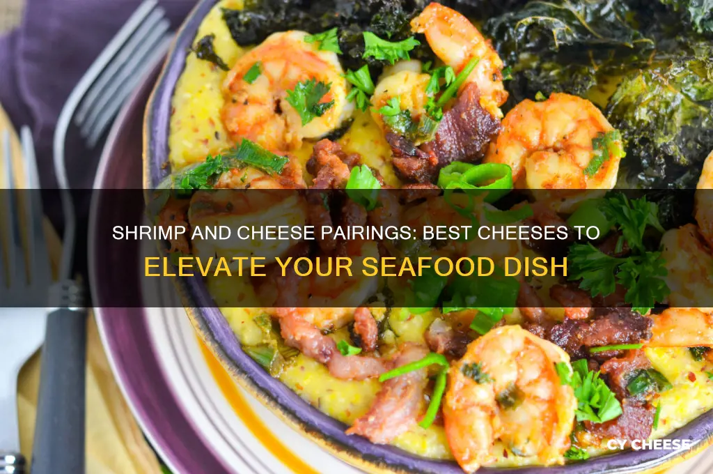 what cheese goes good with shrimp