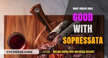 Perfect Pairings: Best Cheeses to Complement Sopressata's Rich Flavor