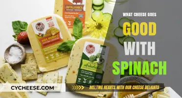 Perfect Pairings: Best Cheeses to Complement Spinach in Your Dishes