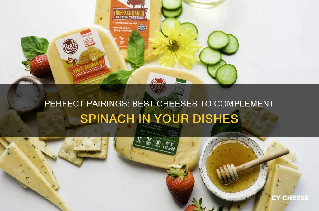 what cheese goes good with spinach