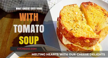Perfect Pairings: Best Cheeses to Elevate Your Tomato Soup Experience