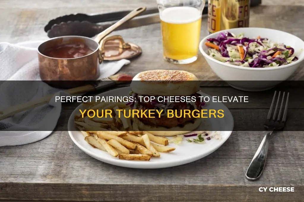 what cheese goes good with turkey burgers