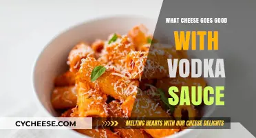 Perfect Pairings: Best Cheeses to Elevate Your Vodka Sauce Dishes