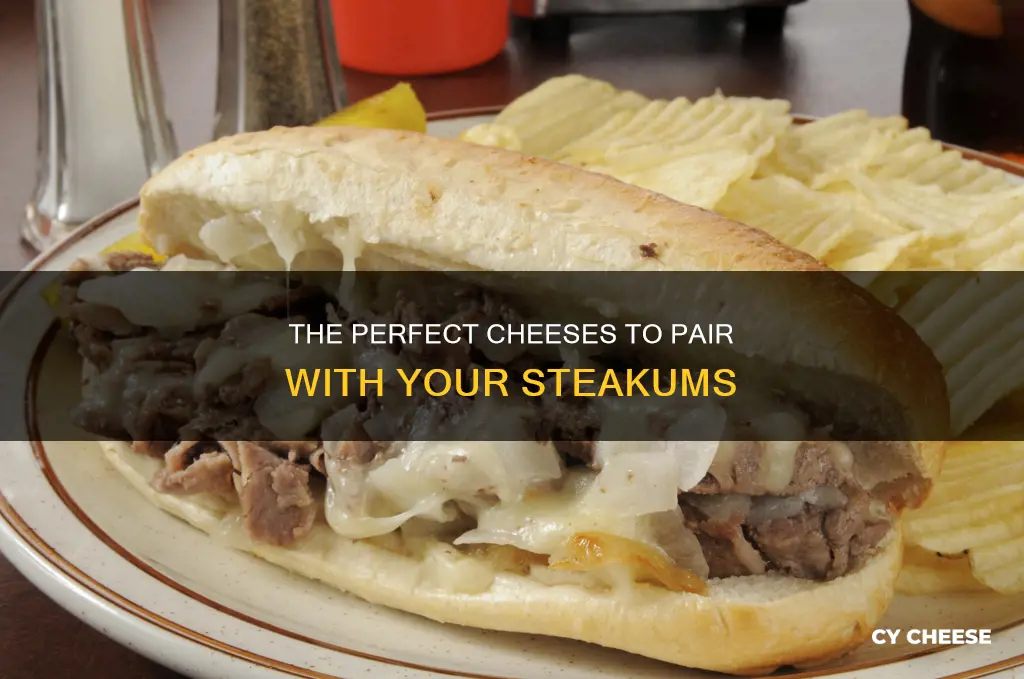 what cheese goes goood with steakums