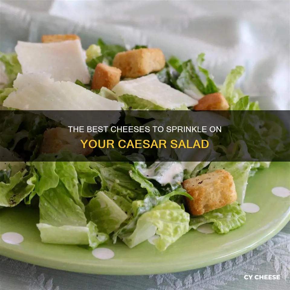 what cheese goes in a cesar salad