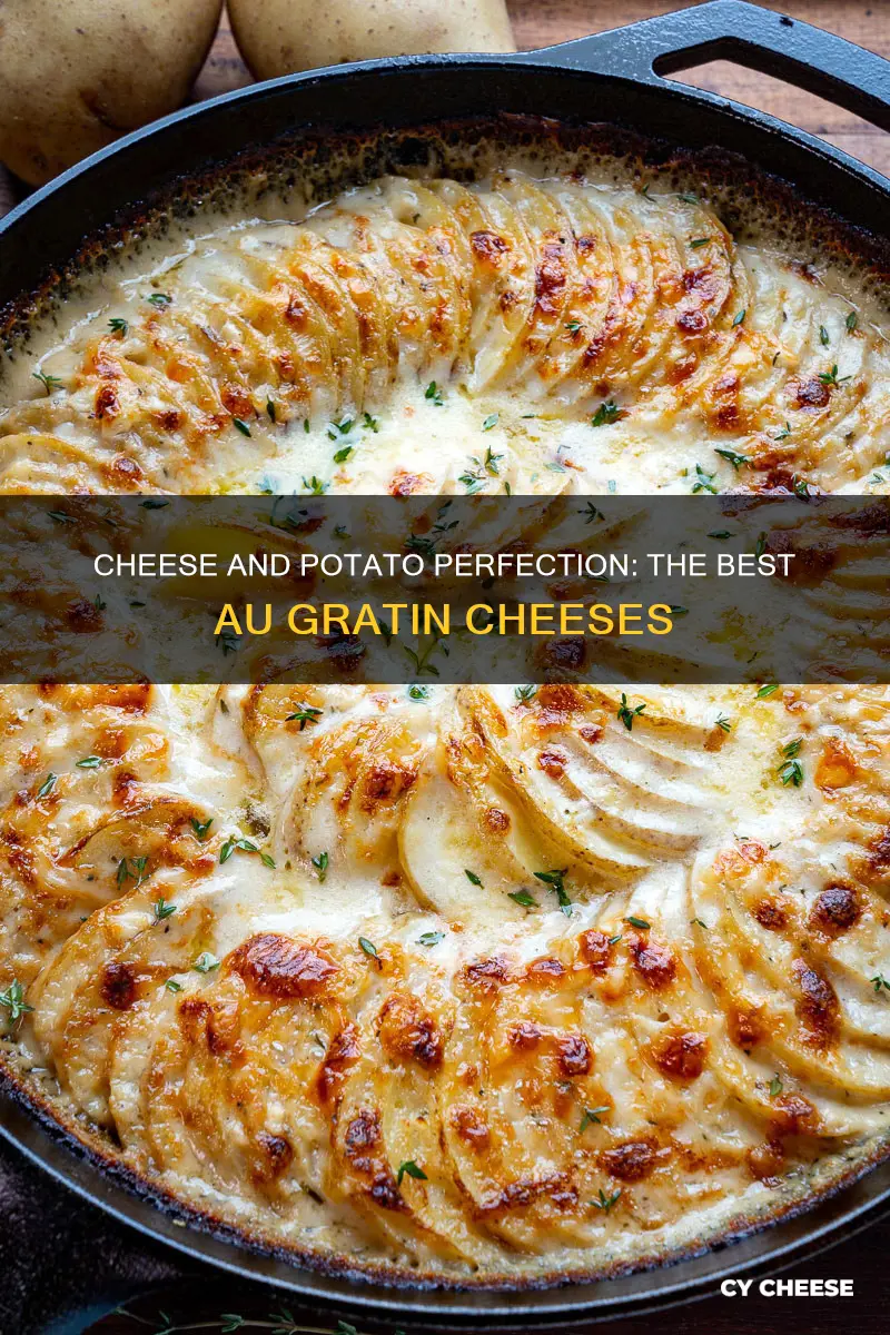 what cheese goes in au gratin potatoes