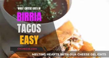 Birria Tacos: The Best Cheeses to Use