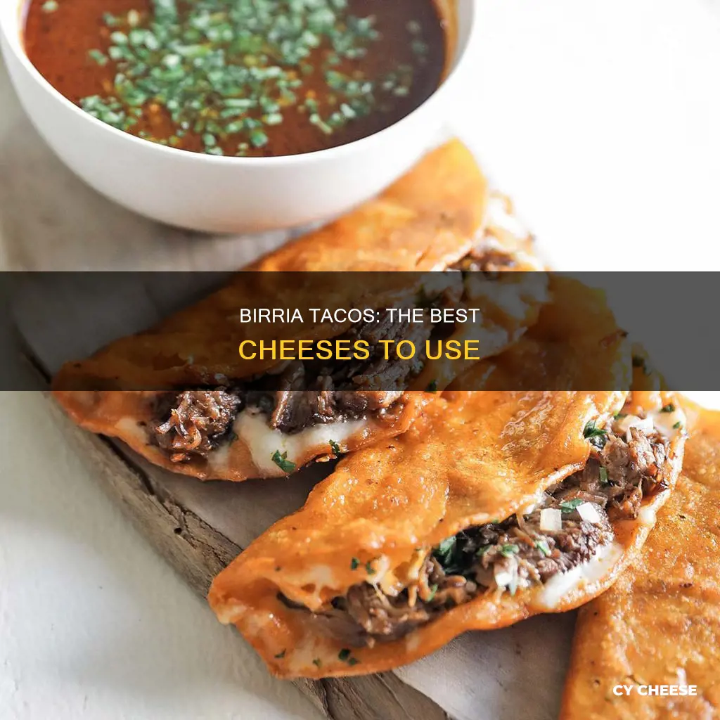 what cheese goes in birria tacos easy