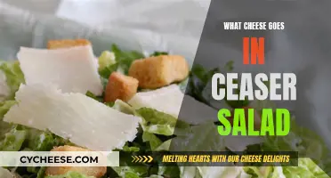 The Perfect Cheese for a Classic Caesar Salad